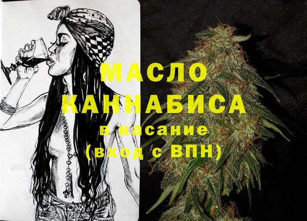 дмт Ельня