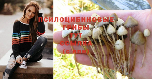 Альфа ПВП Киренск