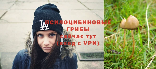гашик Балабаново