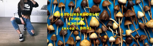 гашик Балабаново